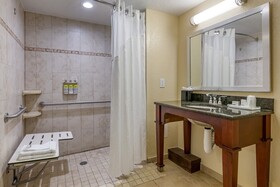 Holiday Inn Resort Orlando Lake Buena Vista