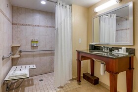 Holiday Inn Resort Orlando Lake Buena Vista