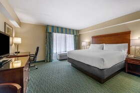 Holiday Inn Resort Orlando Lake Buena Vista