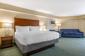 Holiday Inn Resort Orlando Lake Buena Vista