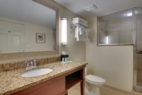 Holiday Inn Resort Orlando Lake Buena Vista