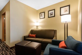 Comfort Suites Near Raymond James Stadium