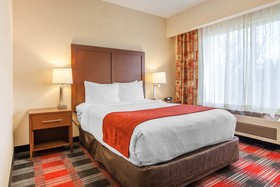 Comfort Suites Vancouver