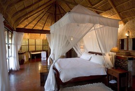 Sanctuary Sussi & Chuma